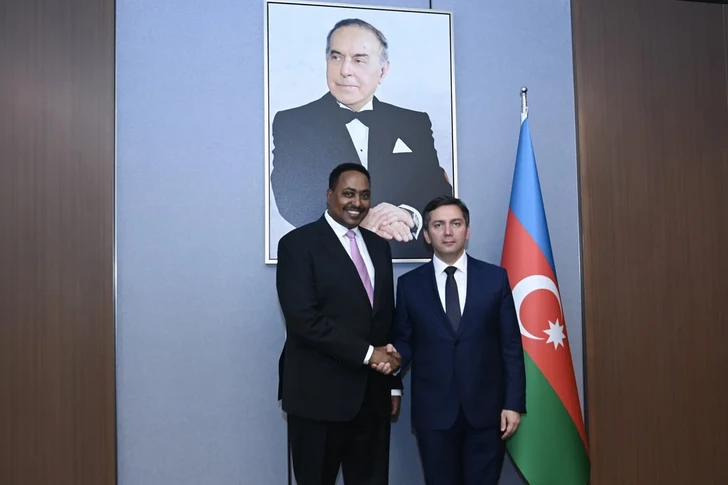 Media.az - Новости Азербайджана - Азербайджан и IGAD обсудили развитие сотрудничества со странами Африки