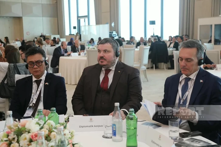 Media.az - Новости Азербайджана - В Баку проходит IV международная конференция по проблеме пропавших без вести