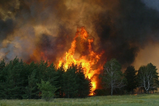 Пожар в северном регионе локализован – ОБНОВЛЕНО + ФОТО
