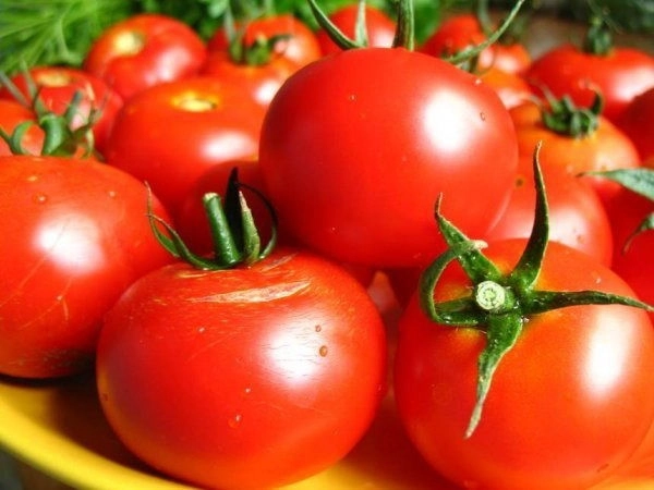 Россия выбирает азербайджанские помидоры