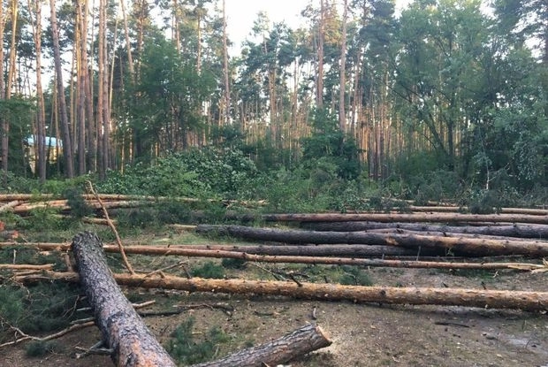 Минэкологии: Армяне уничтожили леса в Джебраиле и Физули