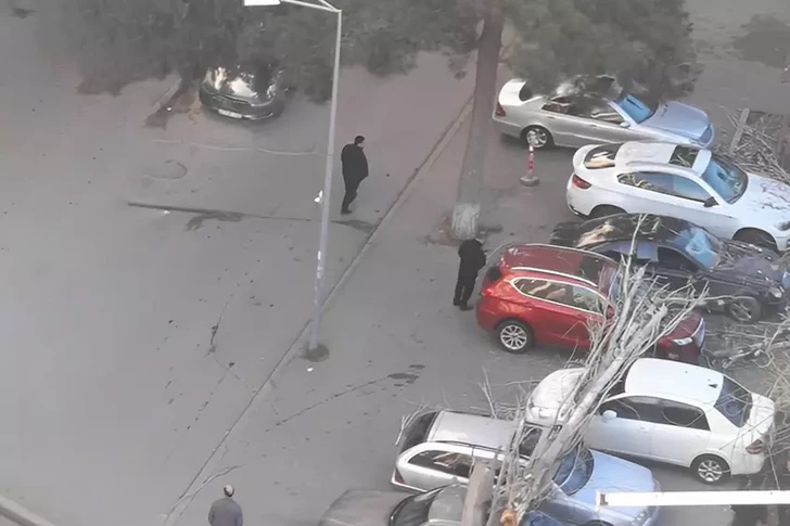 Опасное падение: дерево рухнуло на шесть автомобилей в Хатаинском районе Баку