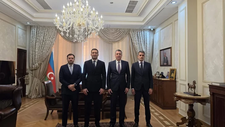 Media.az - Новости Азербайджана - Азербайджан и Грузия обсудили перспективы инвестиционного сотрудничества