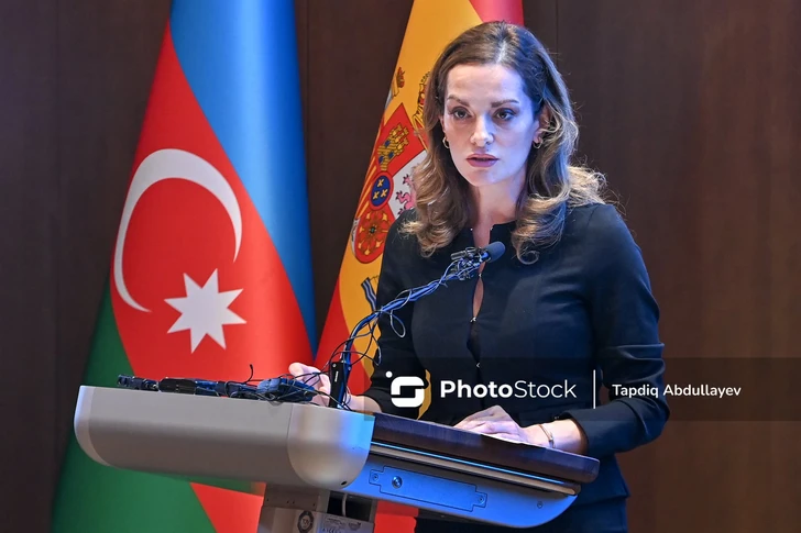 Зиба Мустафаева: SOCAR определила три приоритета работы Центра лидерства и инноваций IE University
