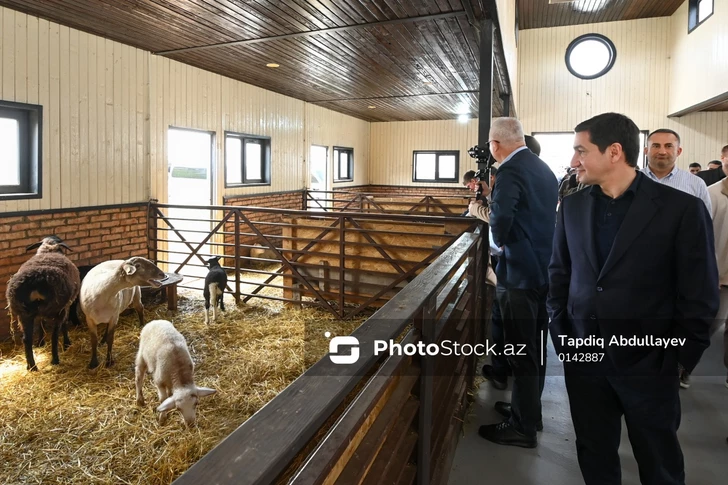 Media.az - Новости Азербайджана - Представители аккредитованного в Азербайджане дипкорпуса побывали в агропромышленном парке в Лачыне