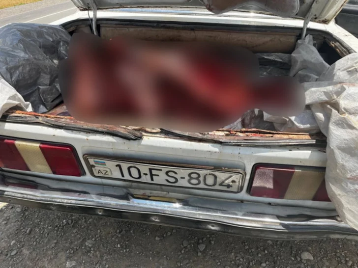 В Физулинском районе задержали автомобиль со 120 кг испорченного мяса