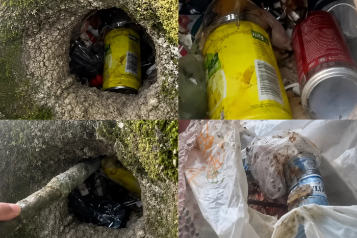 В Гирканском национальном парке дупло дерева превратили в мусорную урну