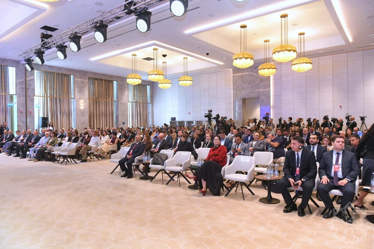 Media.az - Новости Азербайджана - Участники Шушинского медиафорума обсудили борьбу с дезинформацией и роль цифровых платформ
