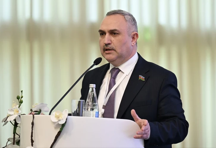 Аллахверанов: Реакция Армении на Гянджасар демонстрирует реваншистские настроения
