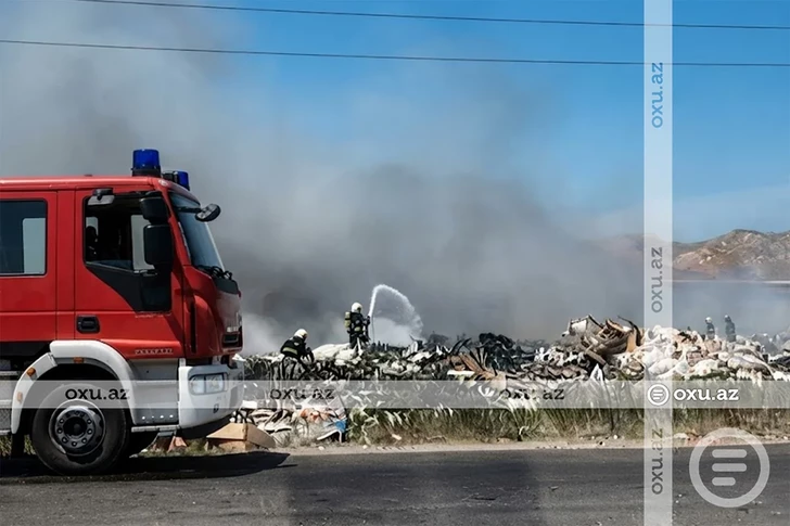 Media.az - Новости Азербайджана - Пожар в бакинском поселке потушен: угрозу распространения огня удалось предотвратить