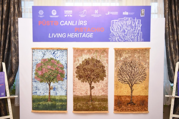 Media.az - Новости Азербайджана - В рамках ART Weekend представлен перформанс «Фисташка: живое наследие»