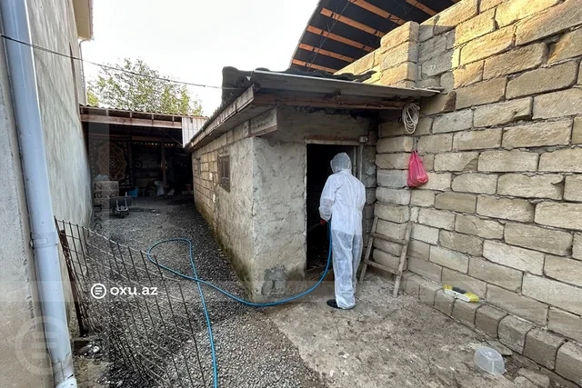 Media.az - Новости Азербайджана - АПБА приступило к расследованию в связи с массовой гибелью домашних птиц на юге Азербайджана