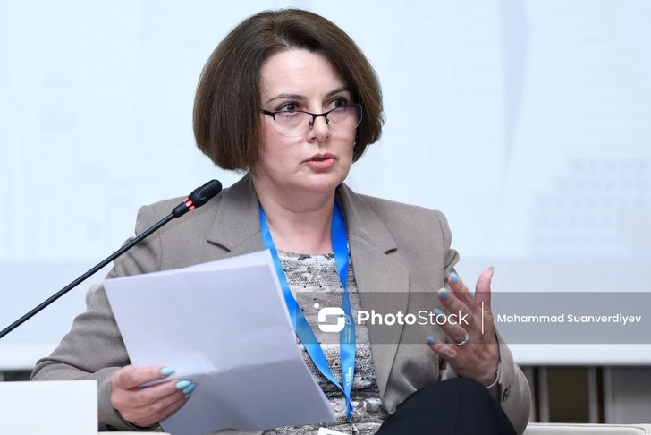 Рена Гумбатова рассказала о развитии национального реестра «зеленой» энергии в Азербайджане