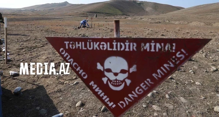 ANAMA обнародовала данные по разминированию за неделю