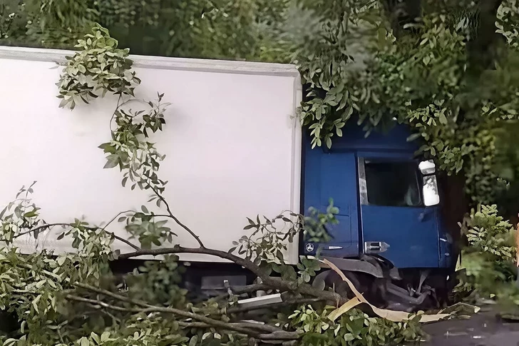 Тяжелое ДТП в Гахском районе: грузовой автомобиль врезался в дерево