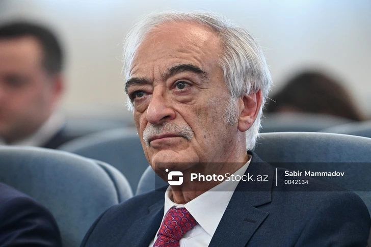 Полад Бюльбюльоглу предложил ужесточить требования к преподавателям искусств
