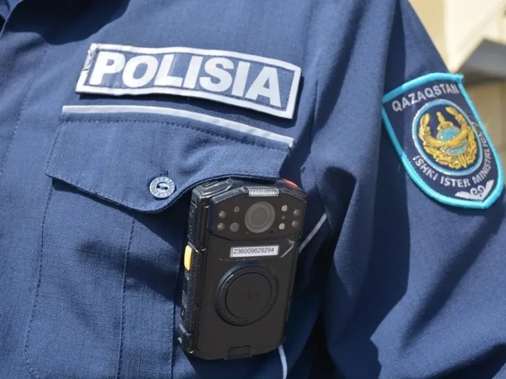В Казахстане разоблачена крупная банда интернет-мошенников во главе с иностранцем