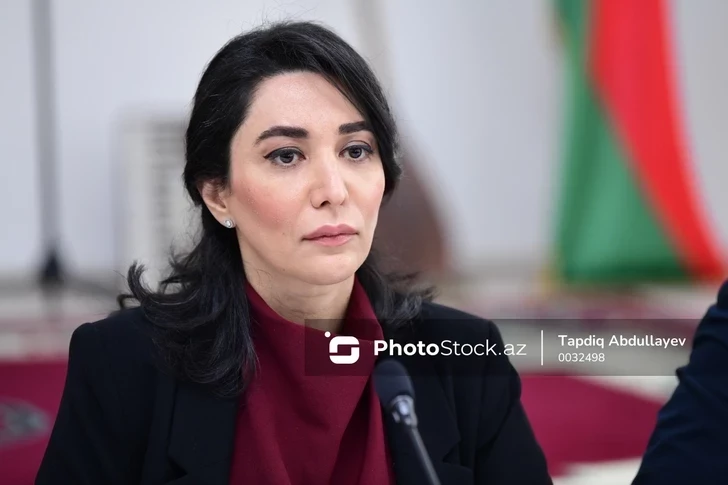 Омбудсмен Азербайджана: Для цифровой безопасности детей нужен усиленный контроль в сети