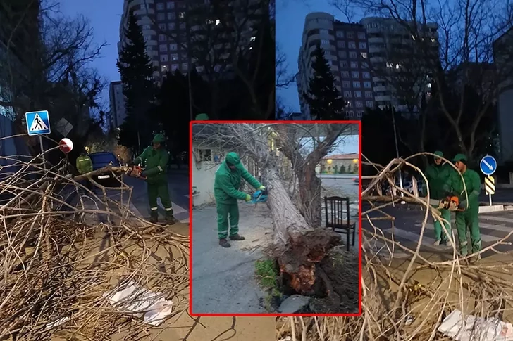 Сильный ветер повредил фасад жилого здания в Баку