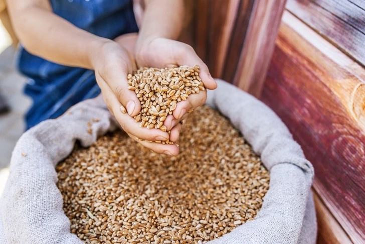 Каковы запасы зерна в Азербайджане?