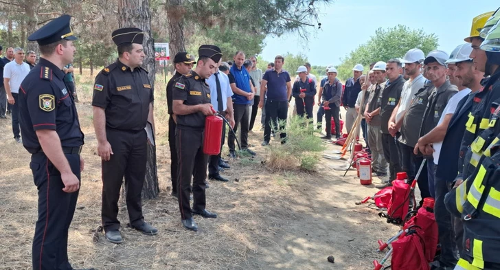 Media.az - Новости Азербайджана - В Азербайджане состоялась тренировка по условному тушению лесного пожара