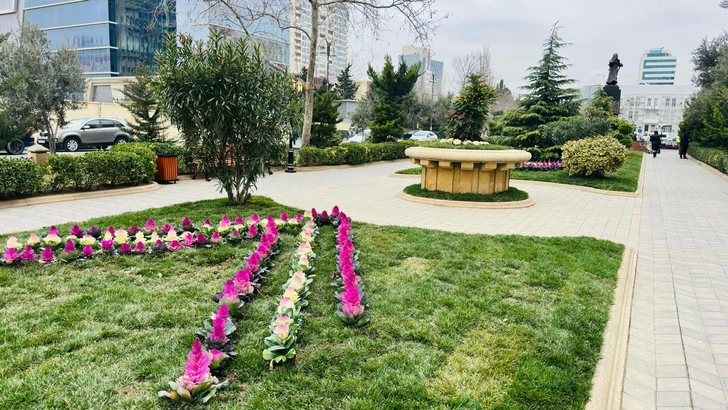 Media.az - Новости Азербайджана - В Баку завершено благоустройство парка у мемориала «Крик матери»