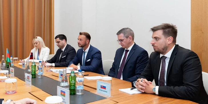 Media.az - Новости Азербайджана - Азербайджан и Словакия подписали меморандум о сотрудничестве правоохранительных органов