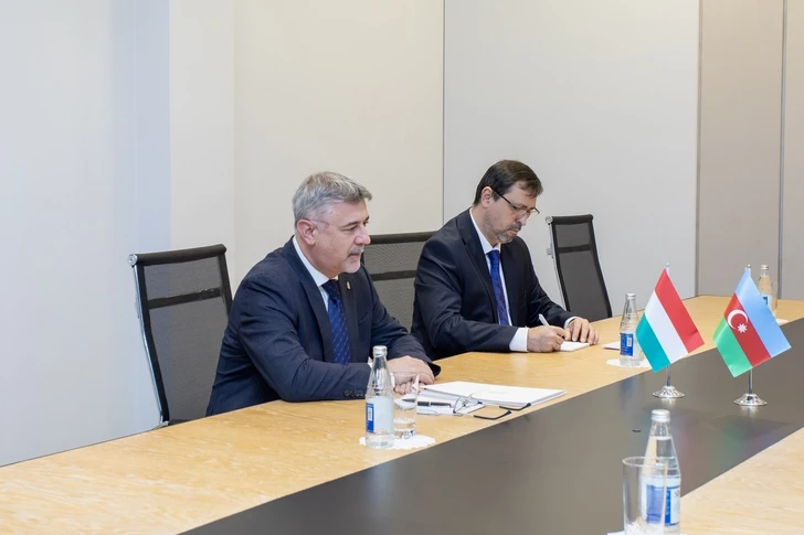 Media.az - Новости Азербайджана - Будапешт намерен сотрудничать с Баку в сфере «зеленой» энергетики