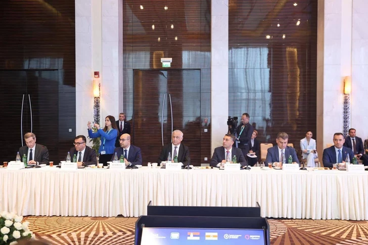 Media.az - Новости Азербайджана - Президент Сербии провел встречу с представителями деловых кругов Азербайджана
