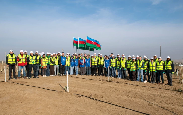 SOCAR Midstream Operations высадила более 600 деревьев в Абшеронском районе