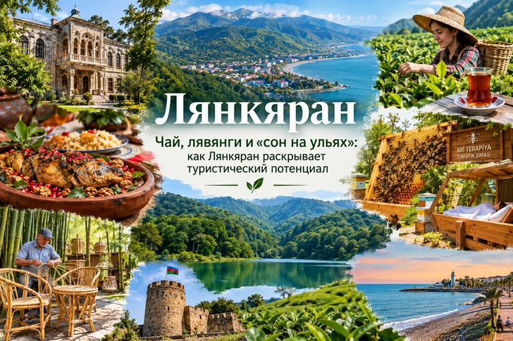 Чай, лявянги и «сон на ульях»: как Лянкяран раскрывает туристический потенциал