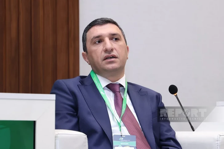 Эльхан Микаилов: Банки в Азербайджане осторожно принимают залог при кредитовании