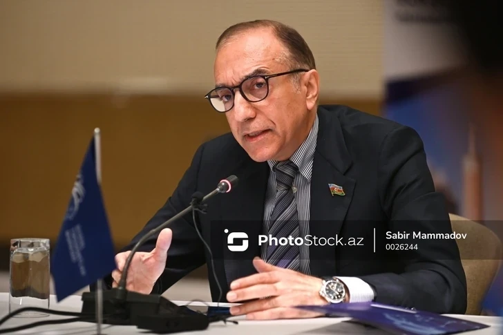 Низами Сафаров: Парламенты СНГ играют ключевую роль в регулировании миграции