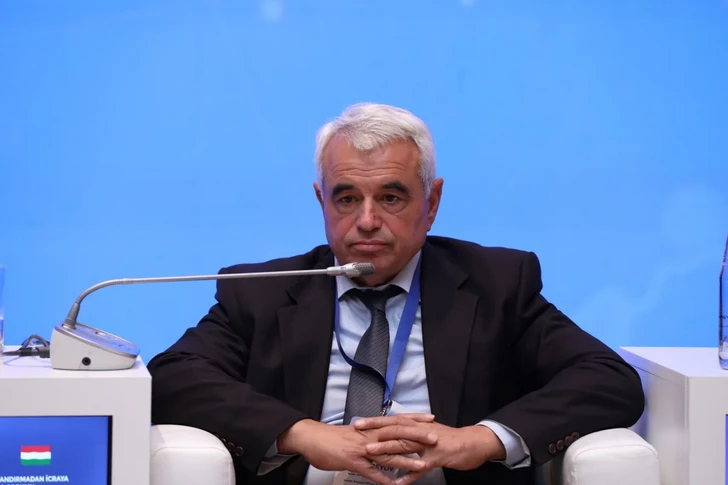 Media.az - Новости Азербайджана - «Зеленый энергетический коридор»: в Баку обсудили распределение инвестиционных рисков