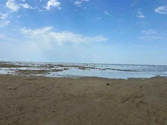Каспийское море отступает: экологическая катастрофа разворачивается на глазах ученых