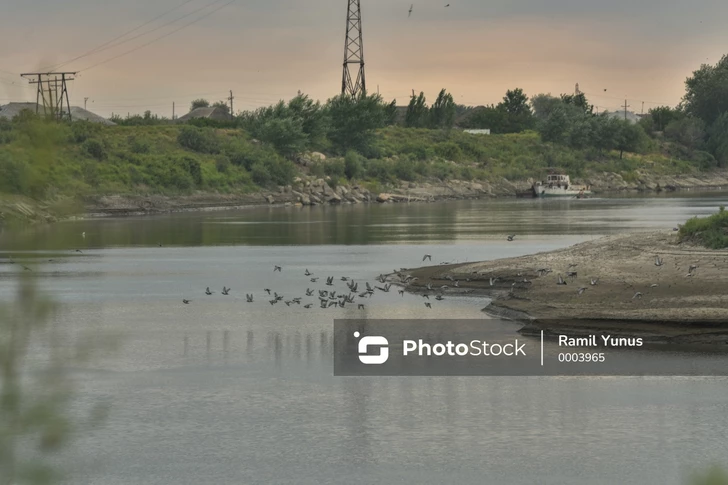 В Азербайджане из-за интенсивных осадков повысился уровень воды в реке Кура