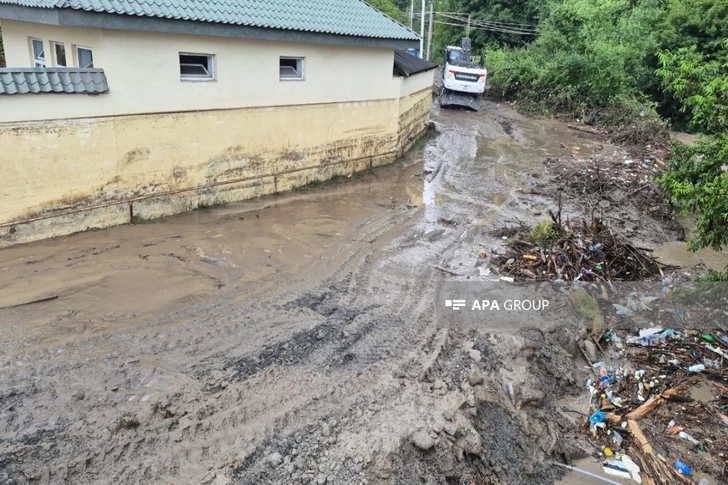 Media.az - Новости Азербайджана - Дворы ушли под воду: сильные ливни вызвали сель в Габале