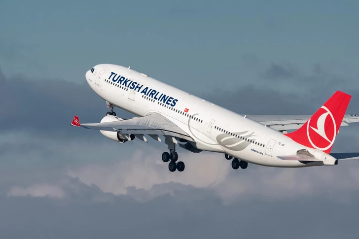 Самолет Turkish Airlines совершил экстренную посадку в Калькутте