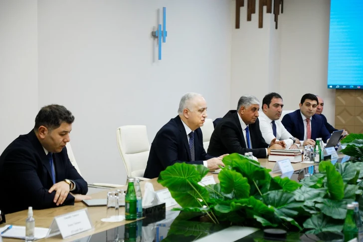 Media.az - Новости Азербайджана - Азербайджан работает над получением международного статуса для спортивных лошадей