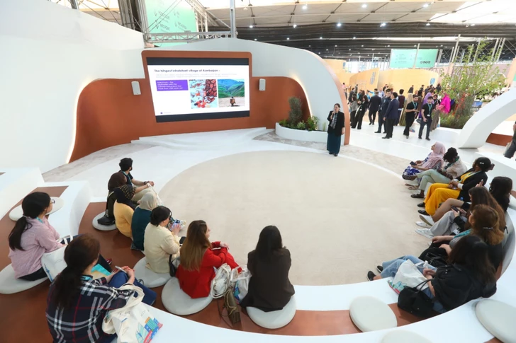 Азербайджан презентует туристический потенциал на WUF13