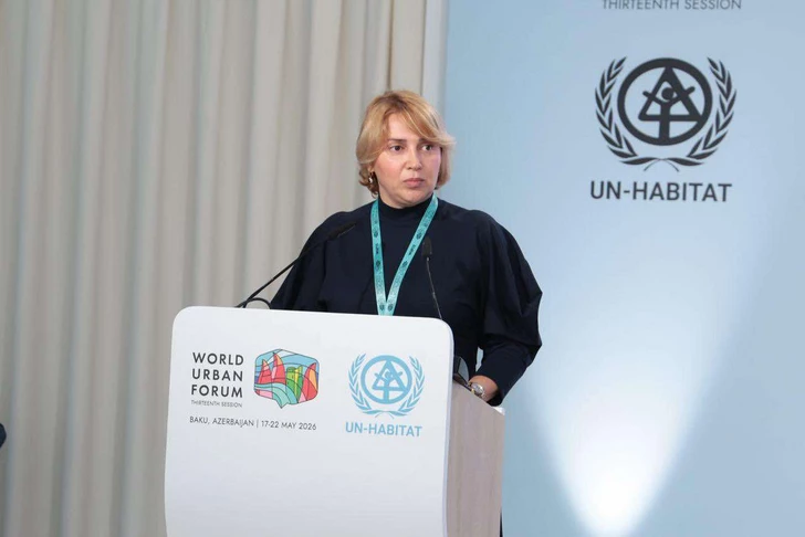 Доступность и равные возможности: позиция Общества «I am Human» на WUF13 в Баку