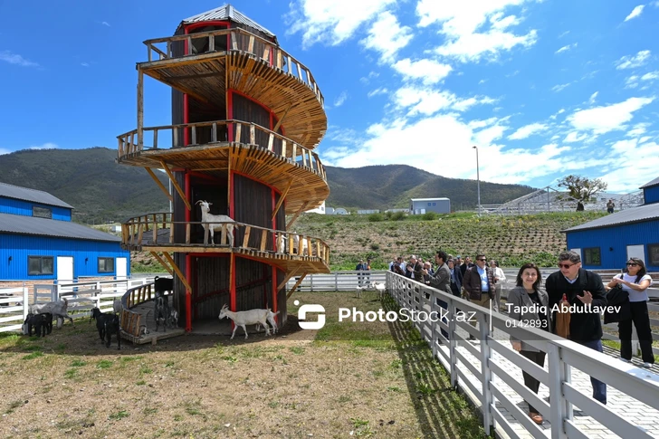 Media.az - Новости Азербайджана - Представители аккредитованного в Азербайджане дипкорпуса побывали в агропромышленном парке в Лачыне