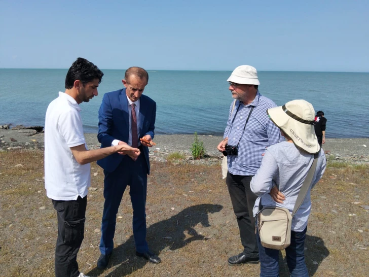 Media.az - Новости Азербайджана - Следы средневекового поселения обнаружены на побережье Каспия в Лянкяране