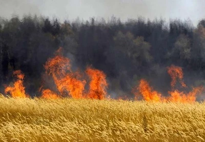 В Сабирабадском районе установлен подозреваемый в поджоге полей