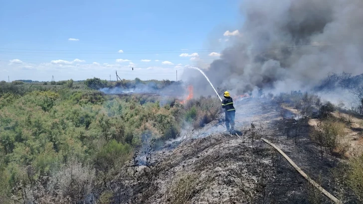 Media.az - Новости Азербайджана - В Гаджигабульском районе потушили пожар на площади 15 гектаров