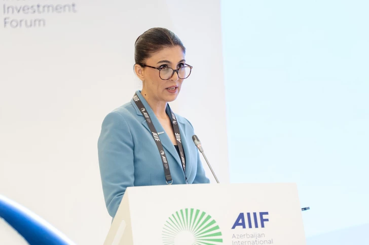 Media.az - Новости Азербайджана - В рамках AIIF 2026 обсудили критические минеральные ресурсы и глобальную экономическую безопасность