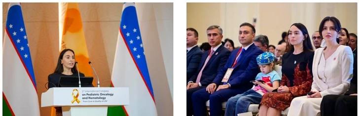 Media.az - Новости Азербайджана - Азербайджанская делегация принимает участие во Всемирном саммите в Узбекистане