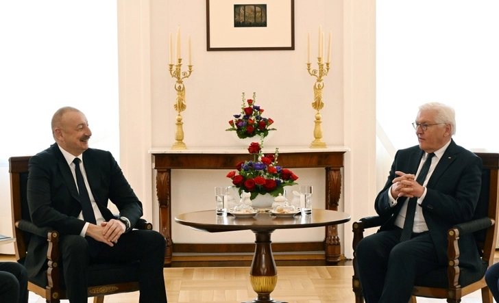 Состоялась встреча президентов Азербайджана и Германии в расширенном составе