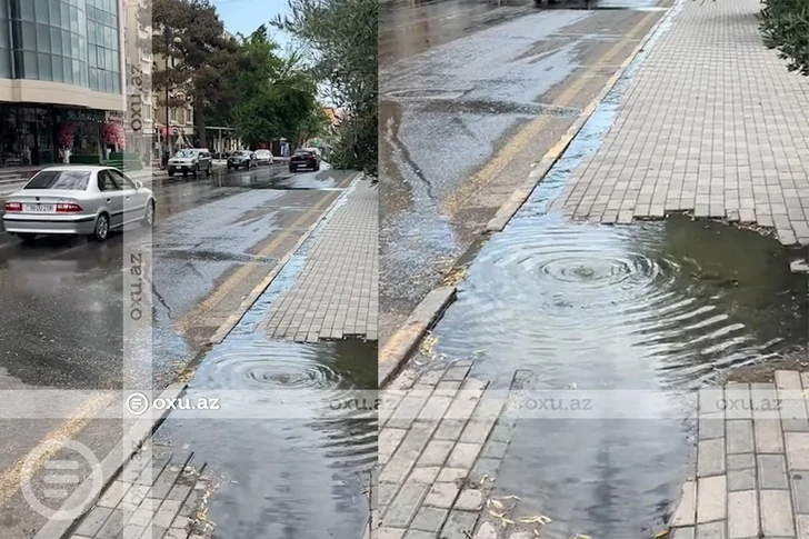 Media.az - Новости Азербайджана - Жители Хырдалана жалуются на прорыв канализации рядом с городским парком