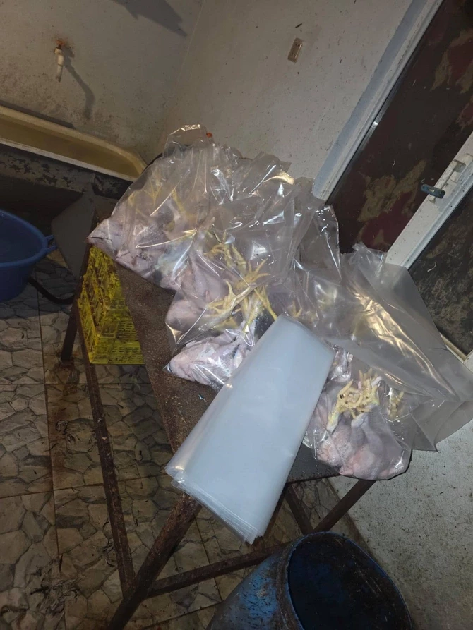 Media.az - Новости Азербайджана - Подпольный забой птицы в антисанитарных условиях выявлен в Хызинском районе